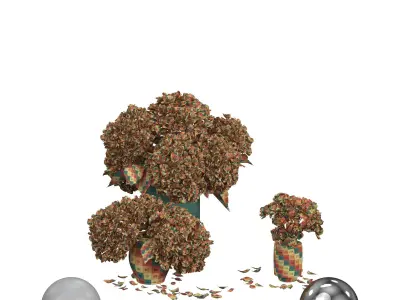 Hydrangea Peonies Vases 3D model