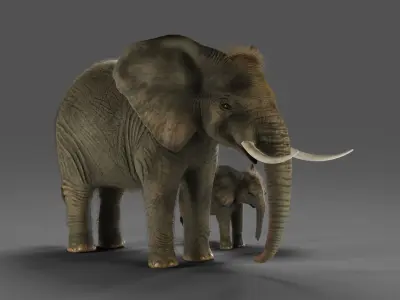 Fur Elephant and Baby Elephant NO Rigged in Blender Low-poly 3D model