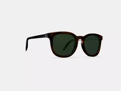 Ryland Sunglasses in Cognac Tortoise 3D model