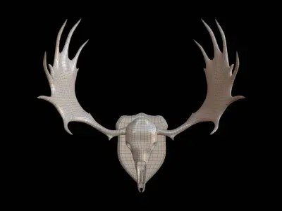 Moose Skull  Low-poly 3D model