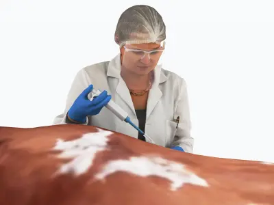 Veterinarian 4K 3D model