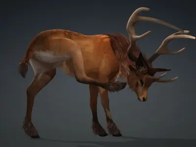 Deer-B2 3D model