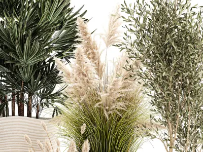 Ornamental plants in fabric baskets for decoration 1093 3D model