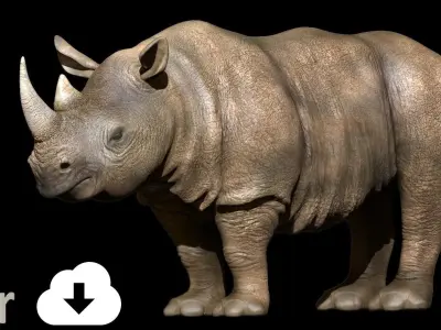 Rhino 3D Photorealistic Model with Uv and  2Texture  Low-poly 3D model