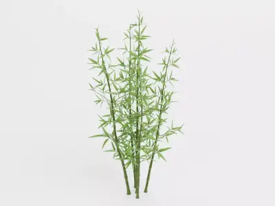 Bamboo Cluster Low-poly 3D model