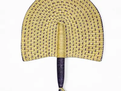 African Handwoven Fan 31 3D model