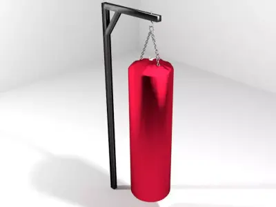 Martial-Art Training Equipment - Puching Bag 3D model