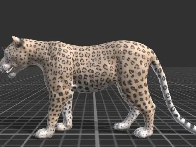 Leopard Low-poly 3D model buy
