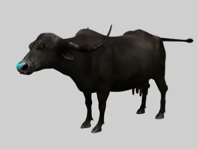 buffalo cow fur 3d model 3D model