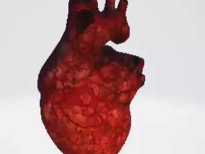 Realistic and Symbolic Heart - Beating and Still Variants Free low-poly 3D model