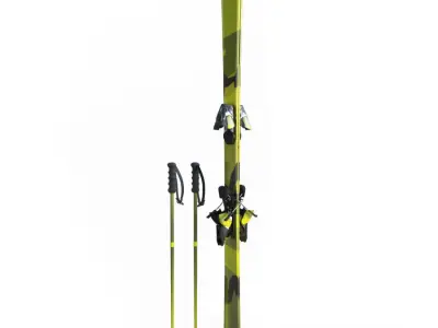 Skis and Sticks 3D model