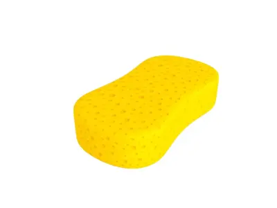 Sponge Low-poly 3D model
