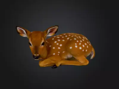 White Tailed Deer Spotted Fawn Realistic 3D model
