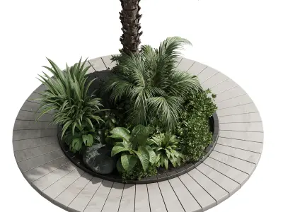 Palm garden - Outdoor plant Collection 138 Low-poly 3D model