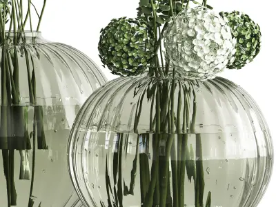 Bouquet collection Plant in glass 3D model