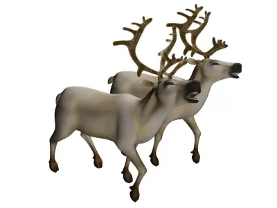 reindeer 3D Model two 3D model