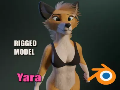 Yara Anthro Fox 3D model