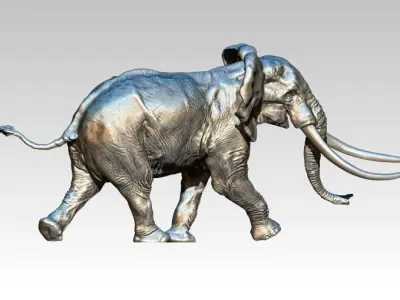 Elephant with long tusks 3D print model
