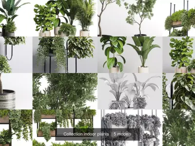 Collection indoor plants 