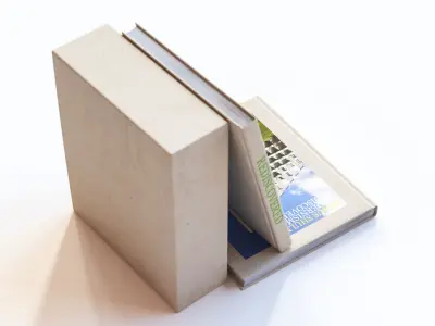 Standing and lying books 3D model