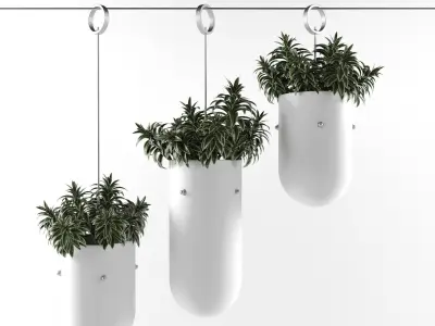 set of plants 3D Model Collection