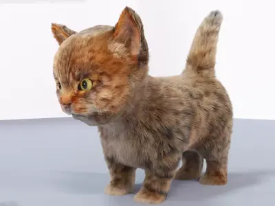 Fur Cute Cat kitten Gray 02 No Rig Low-poly 3D model