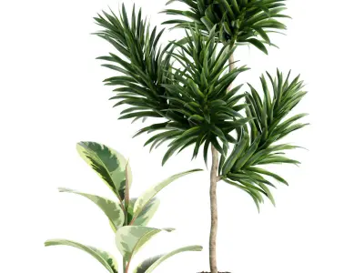 Plants collection 85 3D model