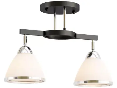 AMBRELLA-LIGHT-TRADITIONAL-TR3111 two light semi flush mount 3D model