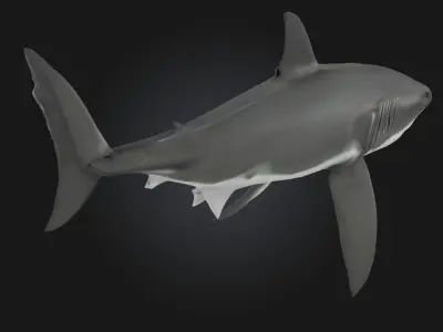 Great White Majesty  Apex Power Beneath the Waves 3D model