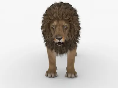 Realistic Scan Lion 3D model