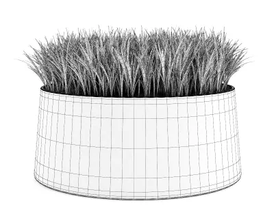 Decorative Grass 3D model