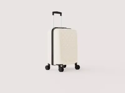 SUITCASE 42 and half CM Low-poly 3D model