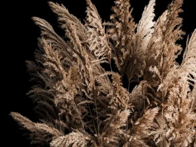 Deorative Bouquet In A Concrete Vase Of Dry Reeds 268 3D model