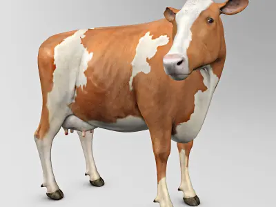 Cow Ayrshire 3D model