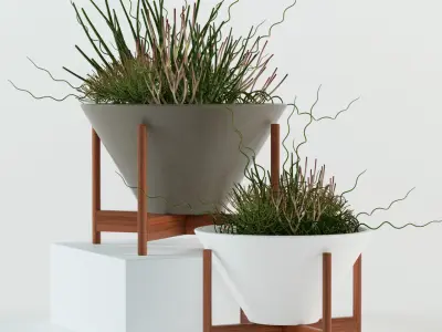 Plants collection 77 Modernica pots 3D model