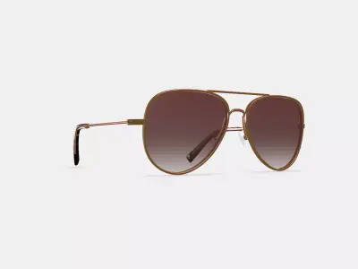 Raider Sunglasses in Rose Gold 3D model