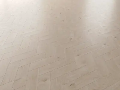 Parquet Oak Arctic NEW Brushed set 5 3D model