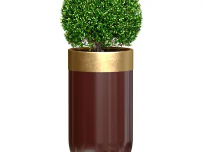 Boxwood Buxus  shrub tree in modern Luxury flower pots vases  3D model