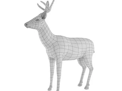 Deer Base Mesh Low-poly 3D model