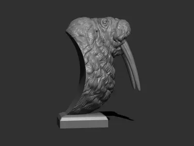 Walrus bust 3D print model