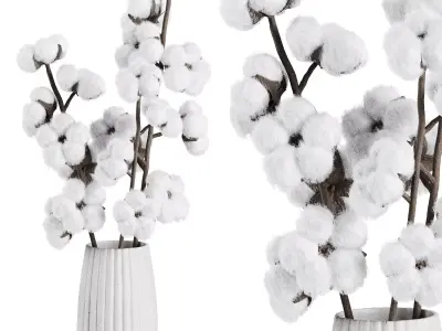 Cotton Flower Bouquet16 3D model