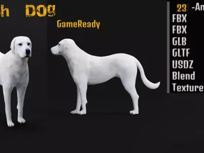 Akbash Dog Low-poly 3D model