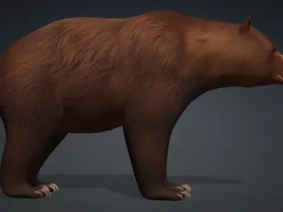 Brown Bear 3D model buy
