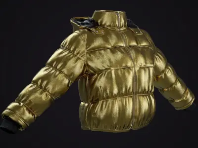 Gold and silver jackets Low-poly 3D model