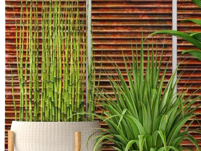 Plants collection pot 3D model