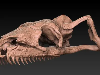 Titan Bowa Skull with jaw 3D model