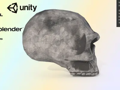 Realistic Human Skull Game-Ready Low-Poly PBR 3D Model Low-poly 3D model