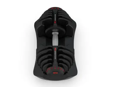 Bowflex Selecttech 1090i Dumbbells 3D model