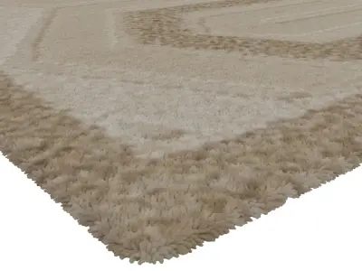 Rug Set 2120 3D model