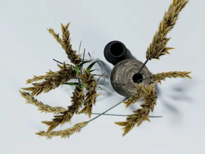 dried flowers in vase 3D model